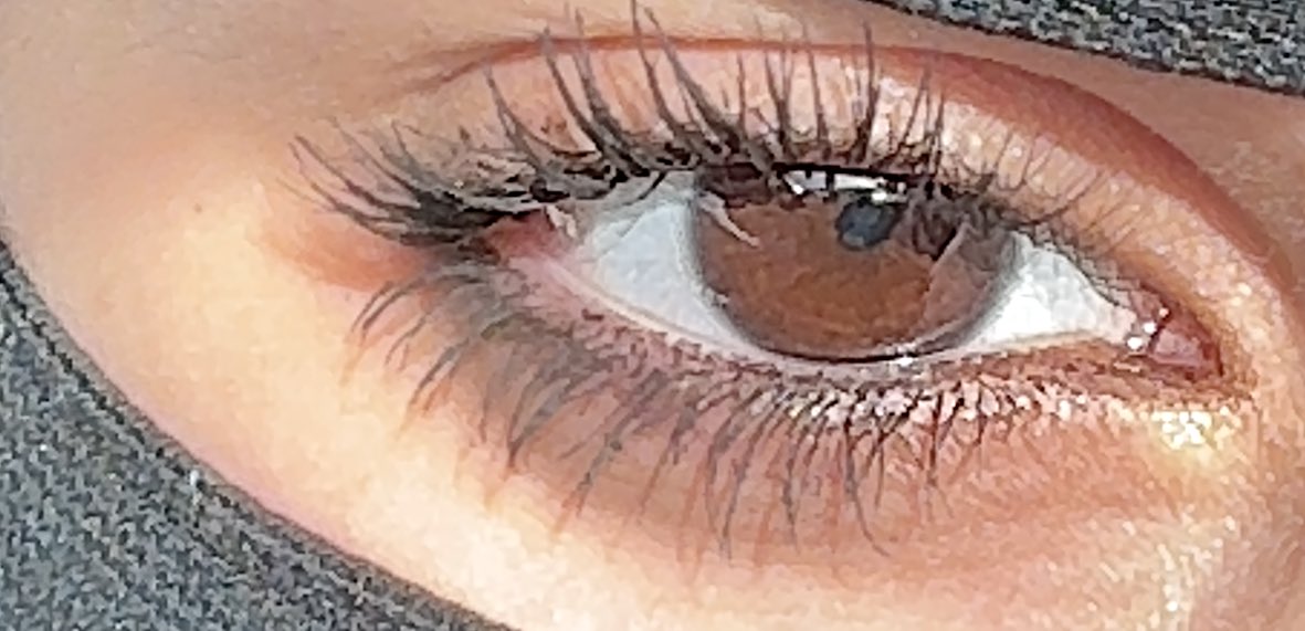 السّت. tweet media