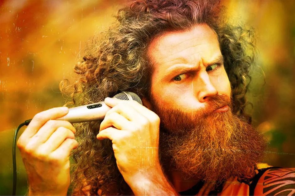 Observatoire des verts tweet media