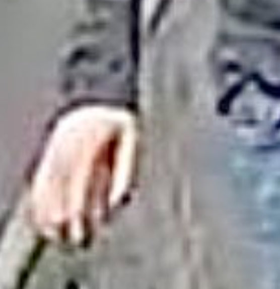 Fence Post tweet media