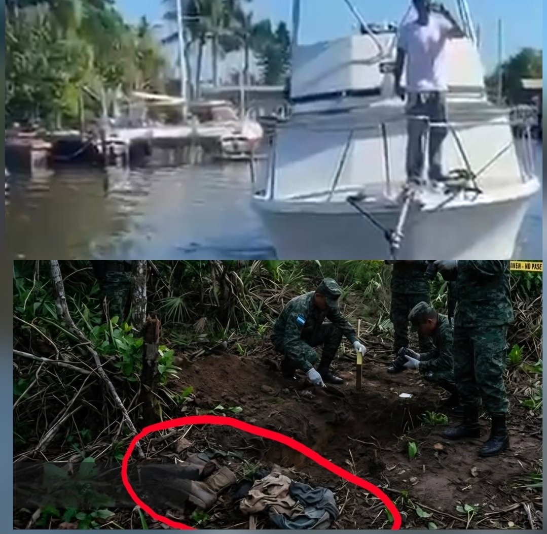 Semper Fidelis tweet media