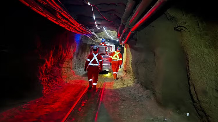 University of Toronto tweet media