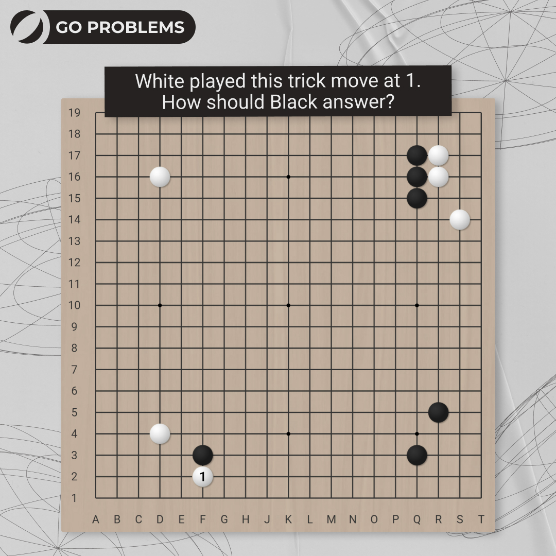 Go Magic tweet media