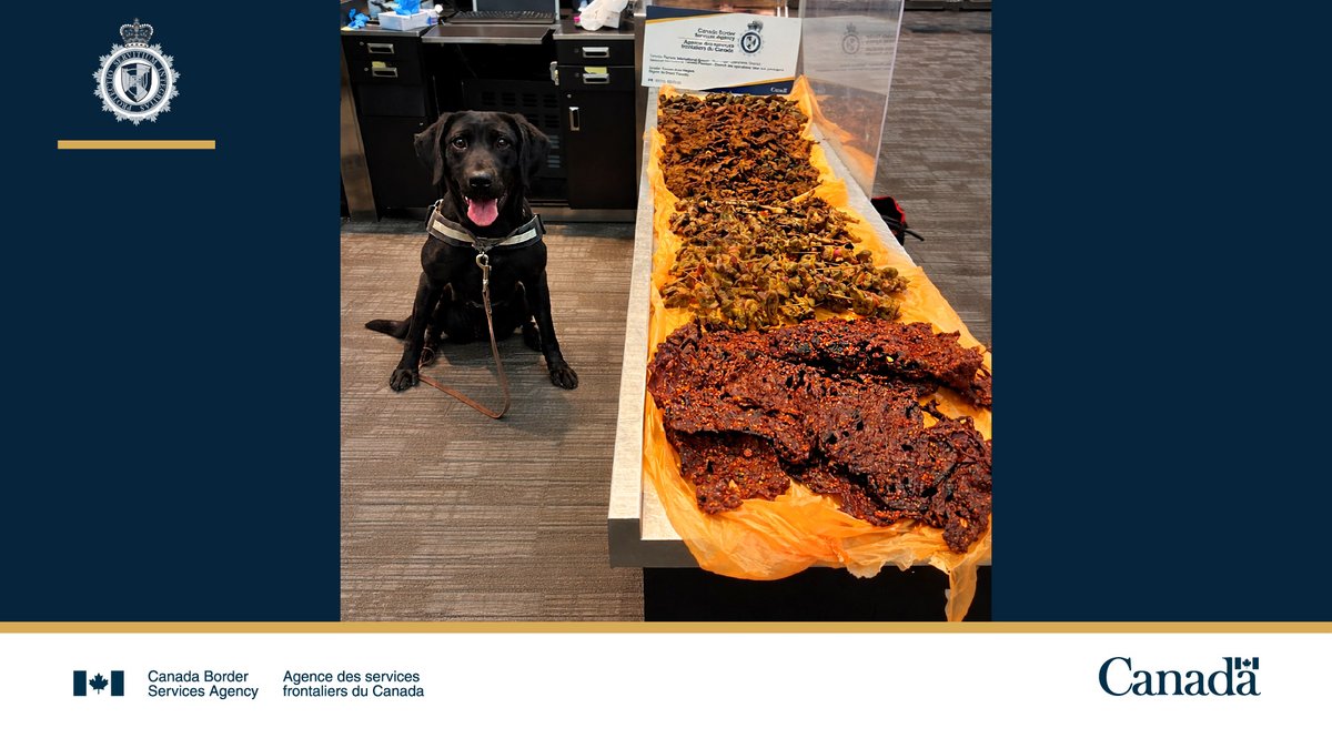 Canada Border Services Agency tweet media