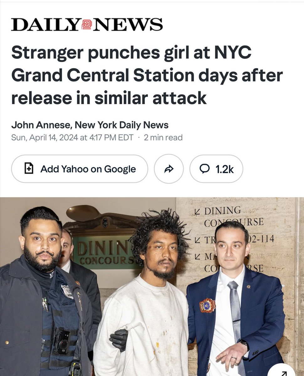 katie wright tweet media