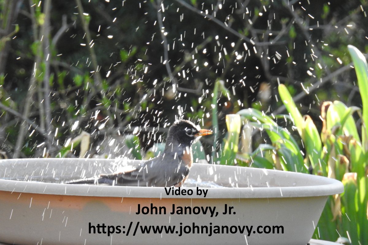 John Janovy Jr tweet media