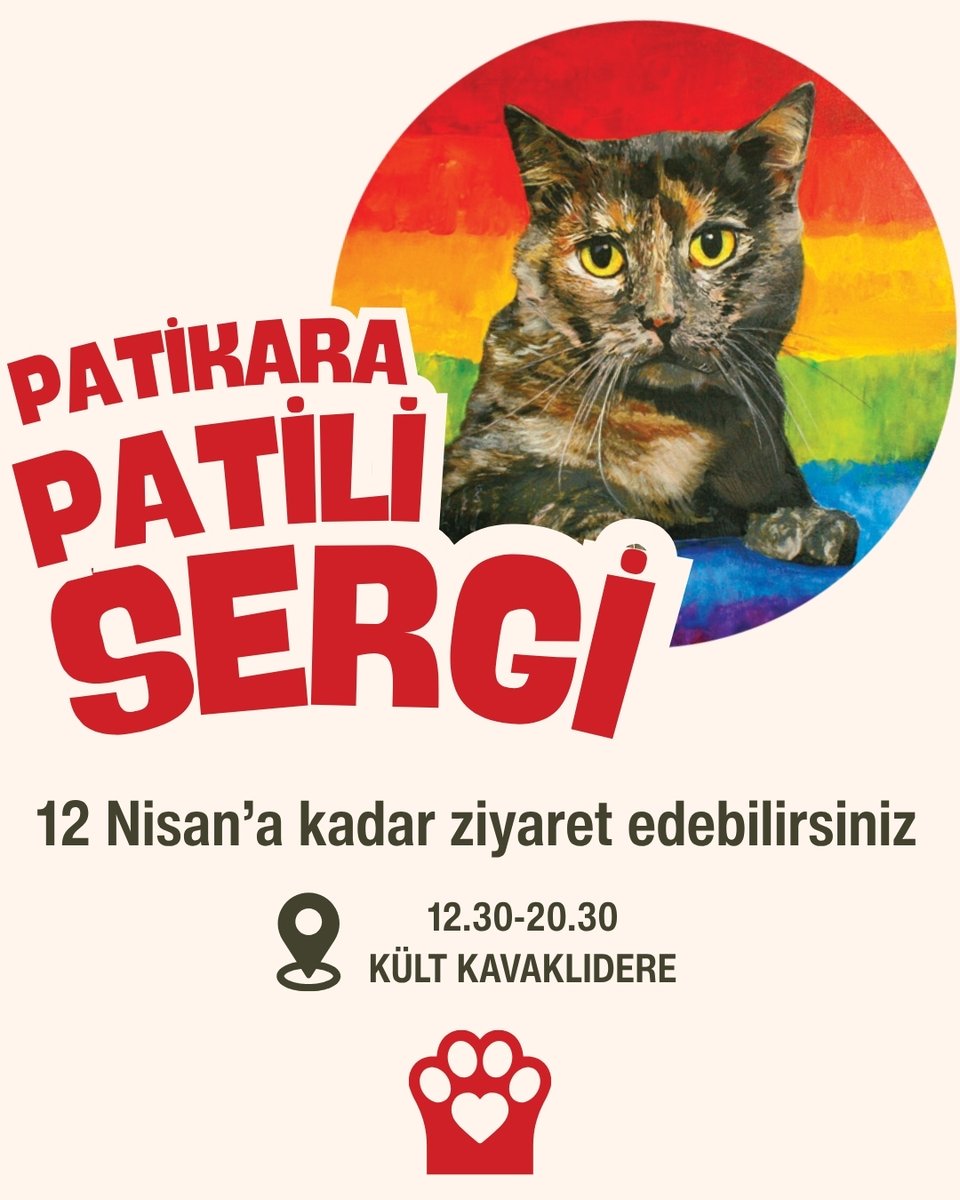 PatikaraDernegi tweet media