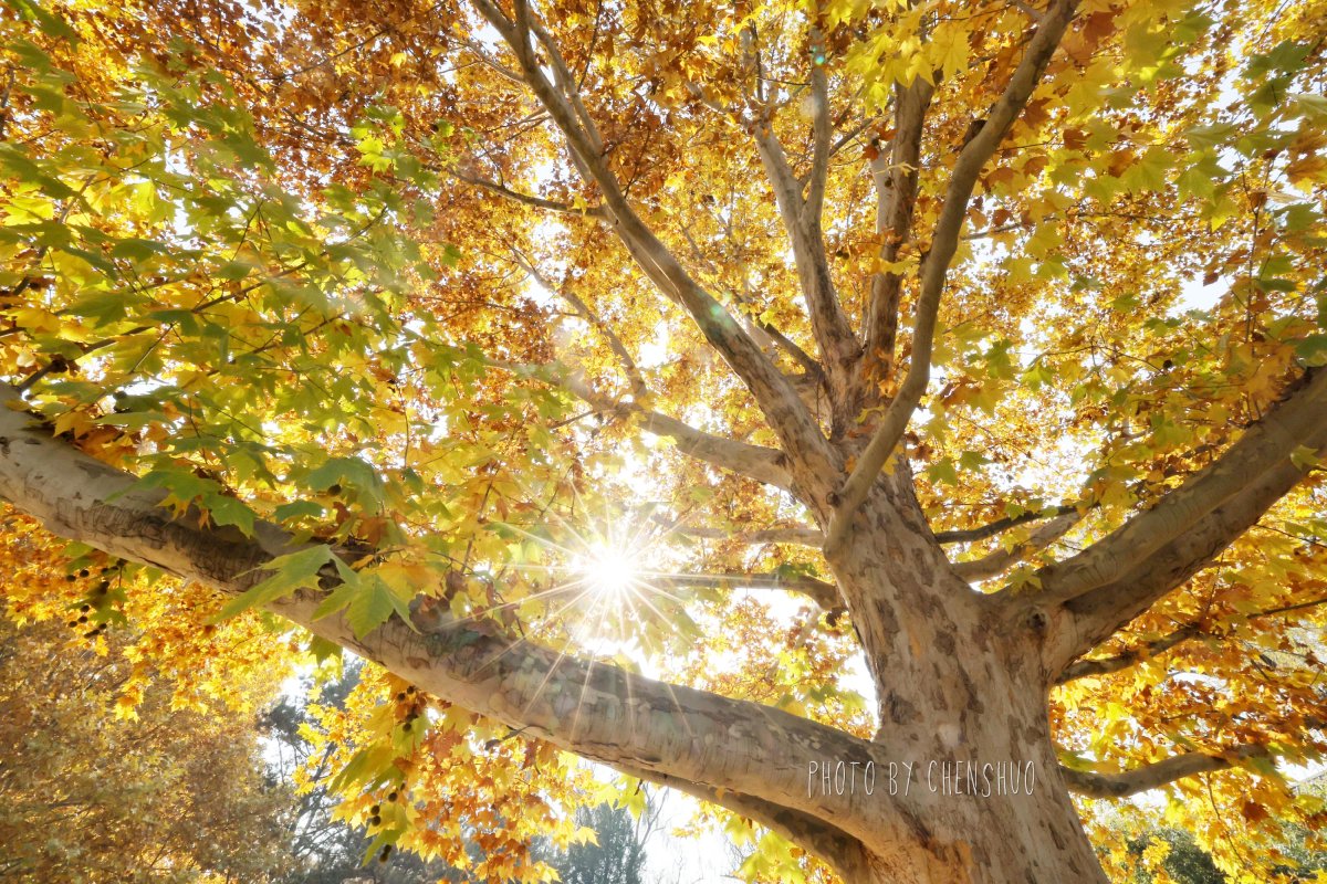 Alexandria King tweet media