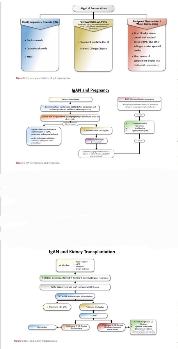 Sayed S Rahman tweet media