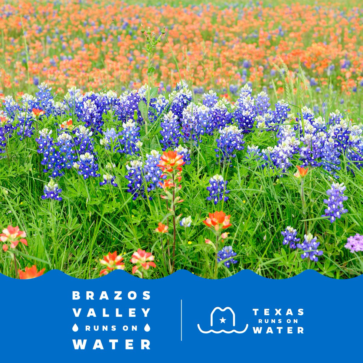 Brazos Valley GCD tweet media