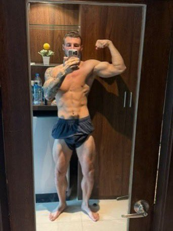 Max Size tweet media