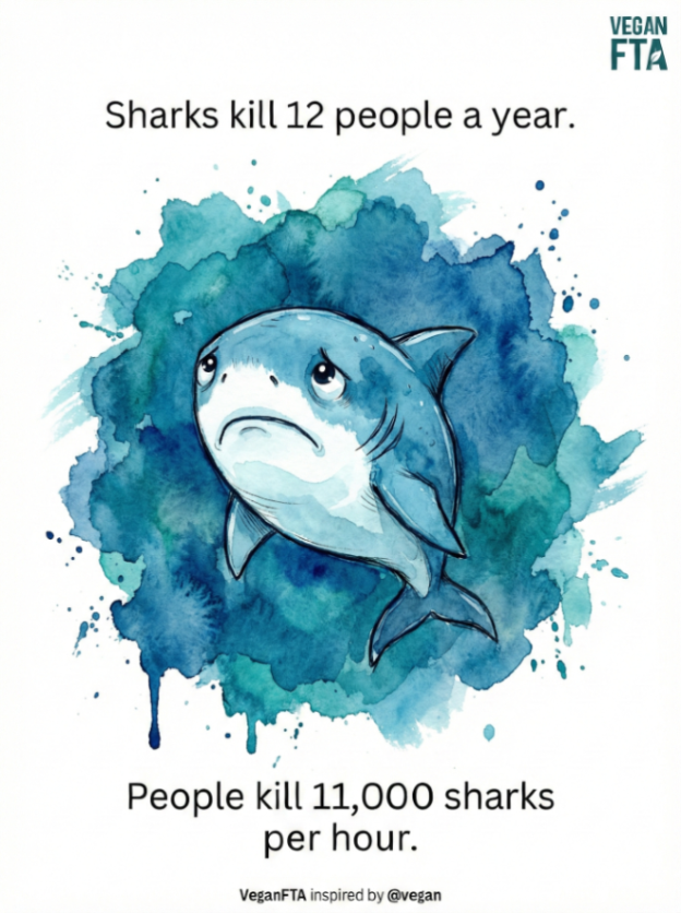 Vegan FTA tweet media