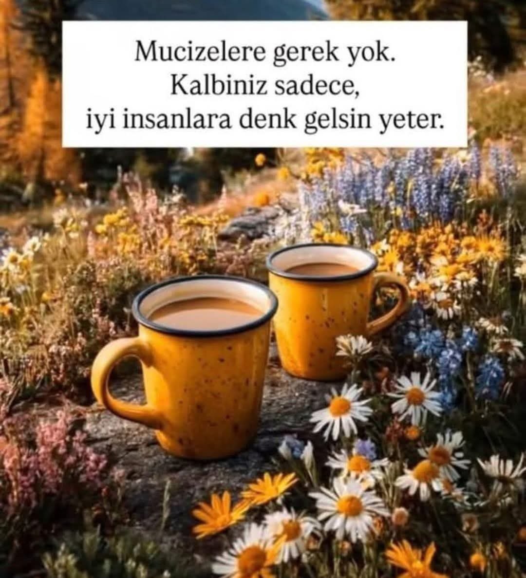 DENİZ_TOPRAK2 tweet media