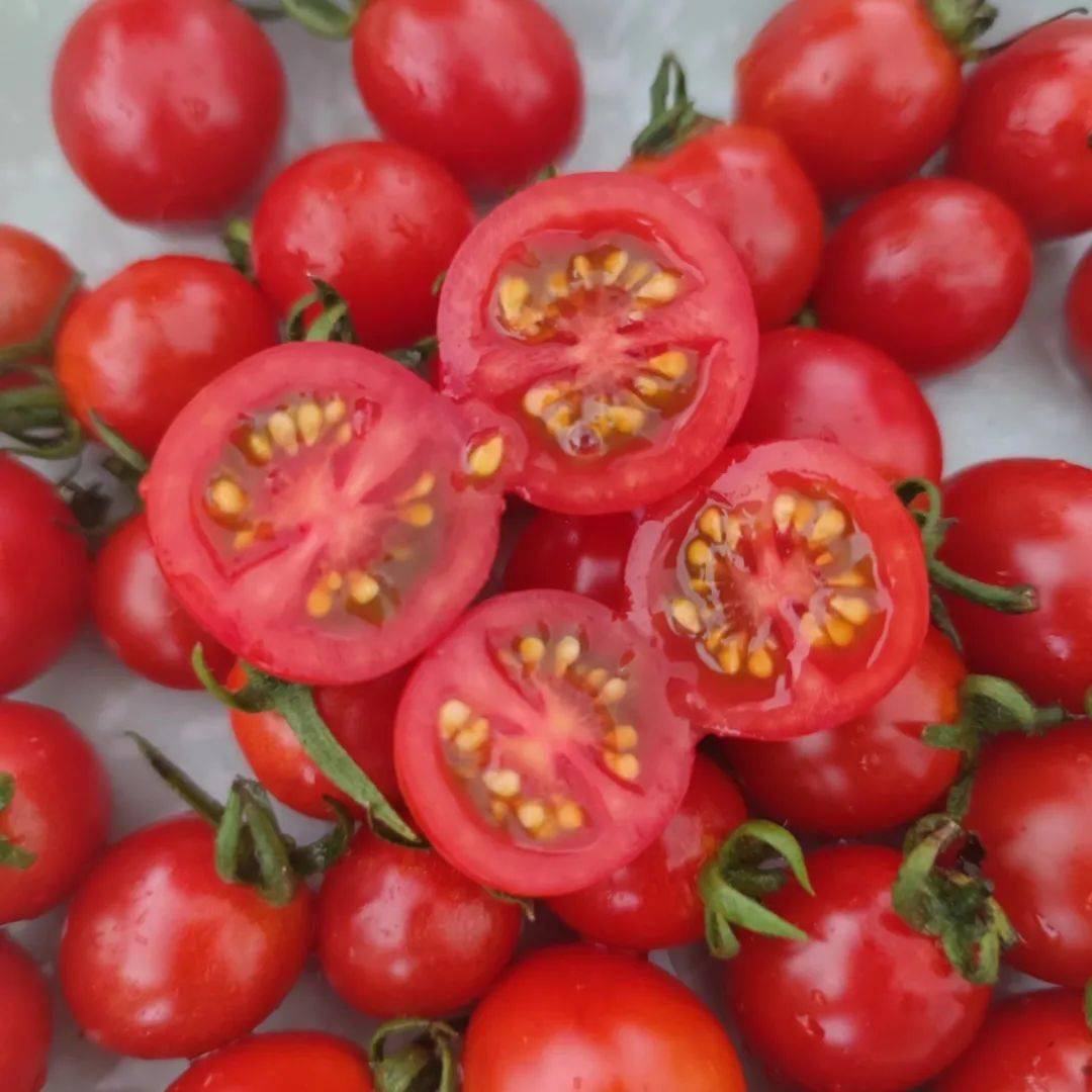 Linda McDonald tweet media