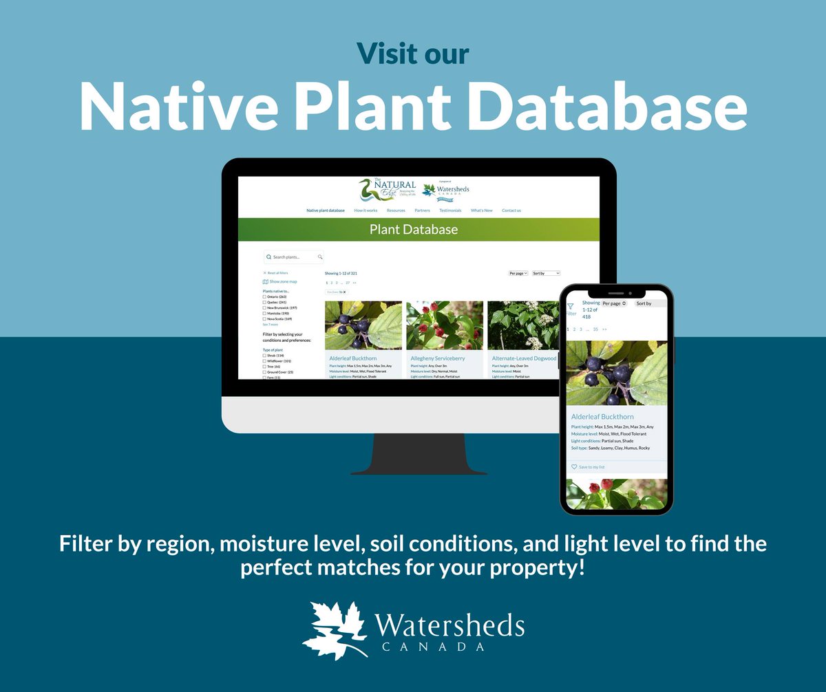 WatershedsCAN's tweet image. Planning your garden? Choose native species! 🌱

Check out our Native Plant Database! In it, you can filter by region, type of plant, soil type, and light conditions to find the perfect match for your property.

Find it here: naturaledge.watersheds.ca/plant-database/

#garden #nativeplants