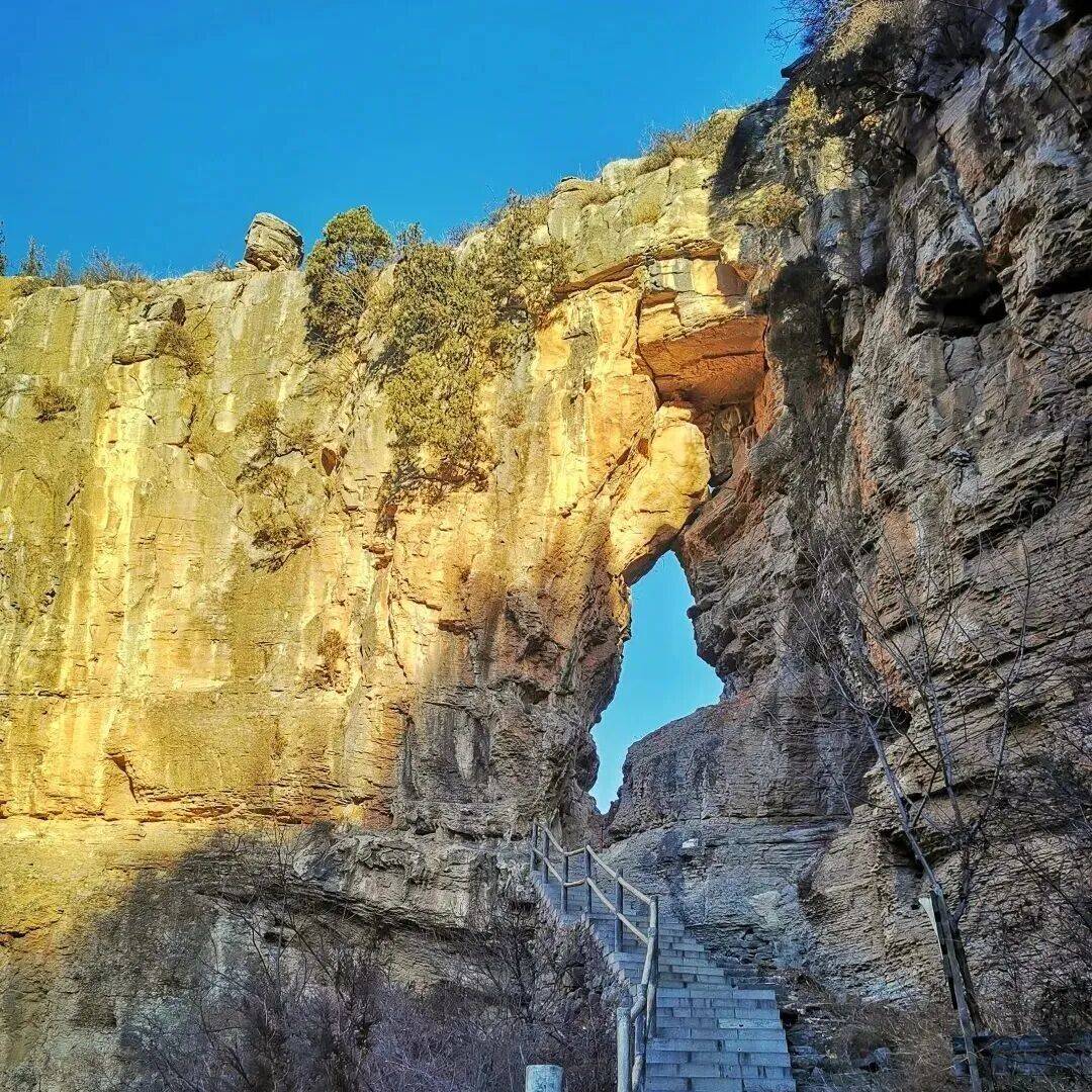 kelly szollosi tweet media