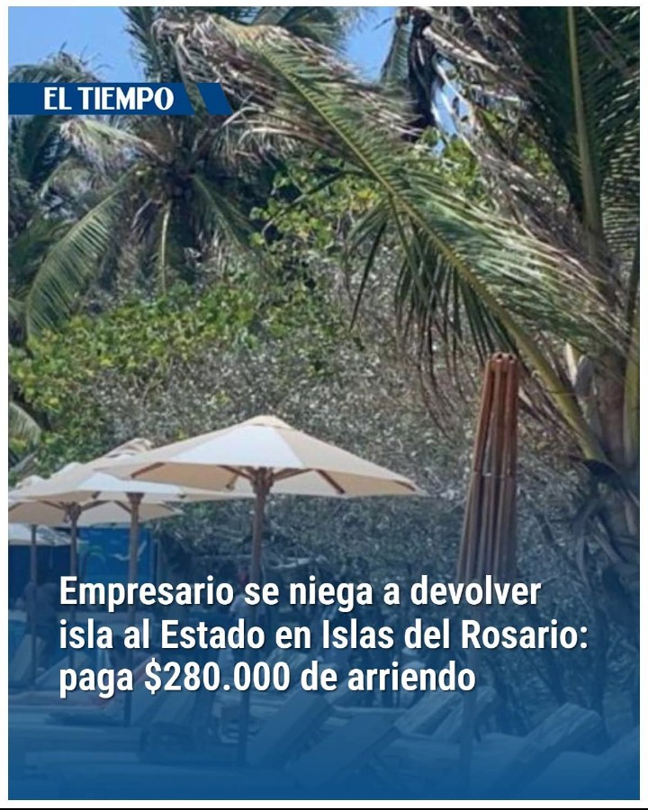 Mamertos 2.0🍉 tweet media