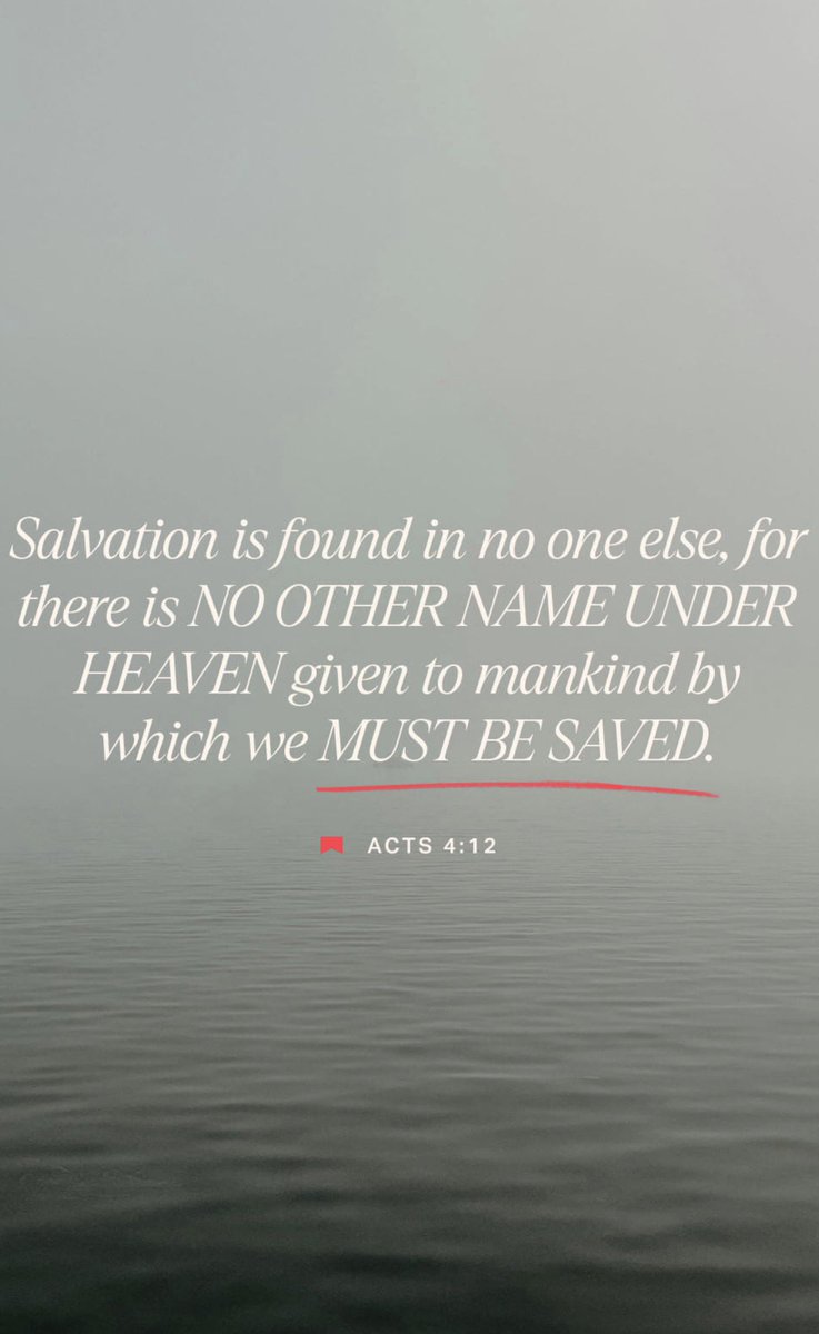 ✨ Sparkles ✨ tweet media