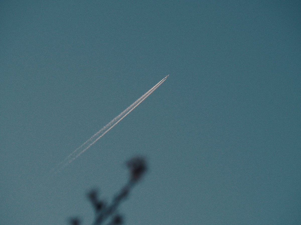 ᴍᴏᴏɴʟʏ tweet media