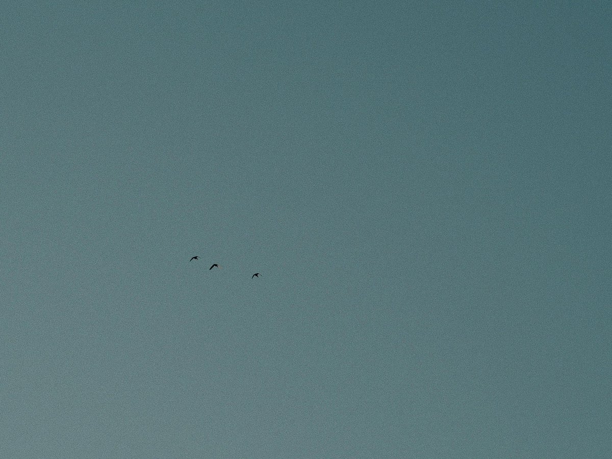 ᴍᴏᴏɴʟʏ tweet media