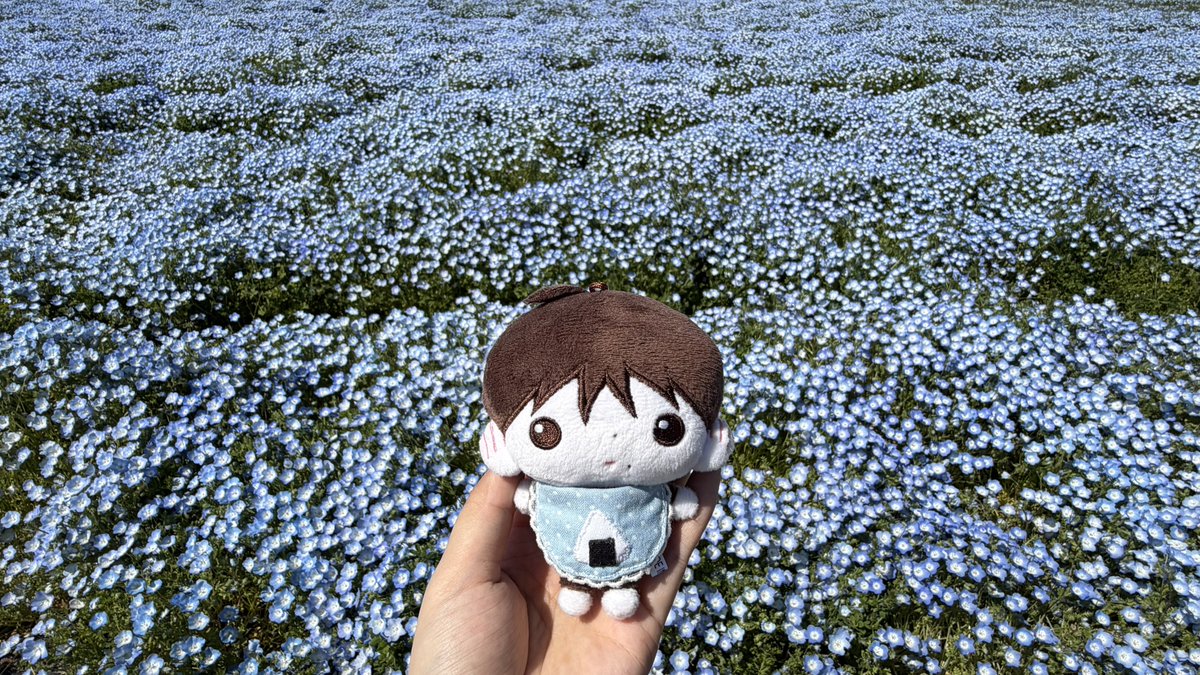 소소✿ܓ tweet media