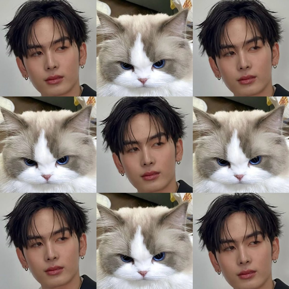 ฮูอิสชี ี tweet media