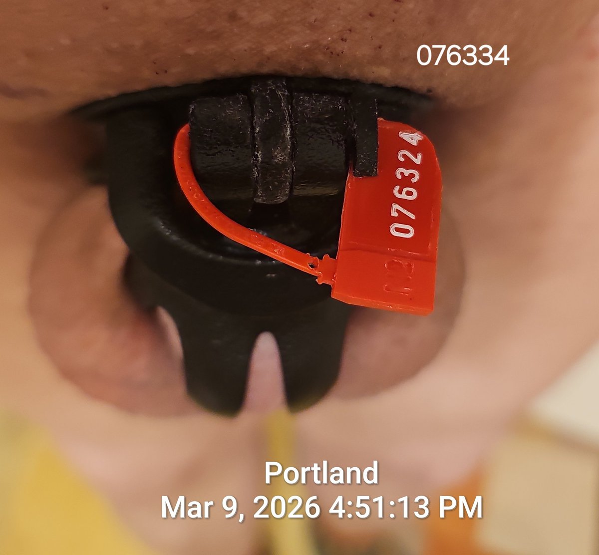 Caged C Ck PDX tweet media