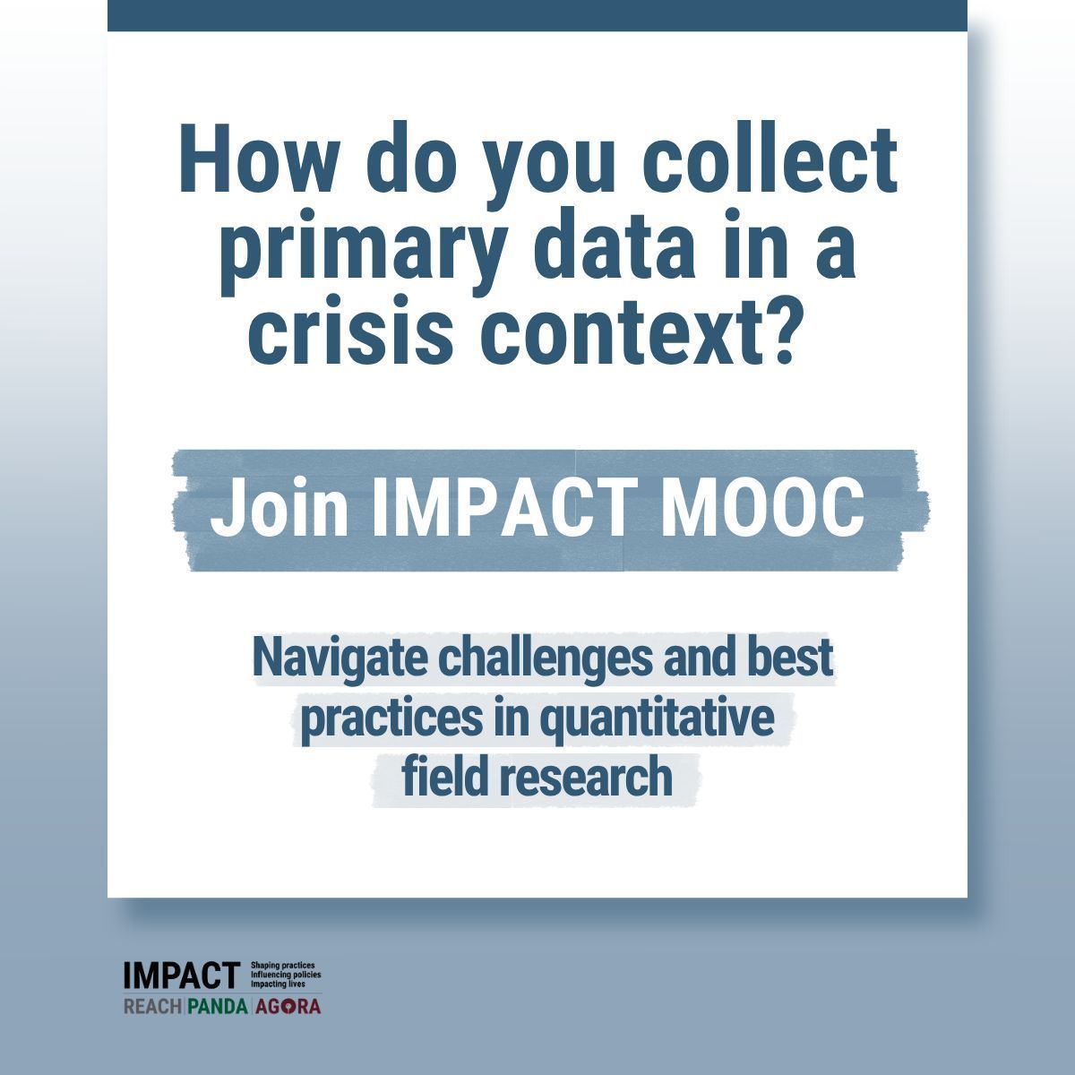 IMPACT Initiatives tweet media