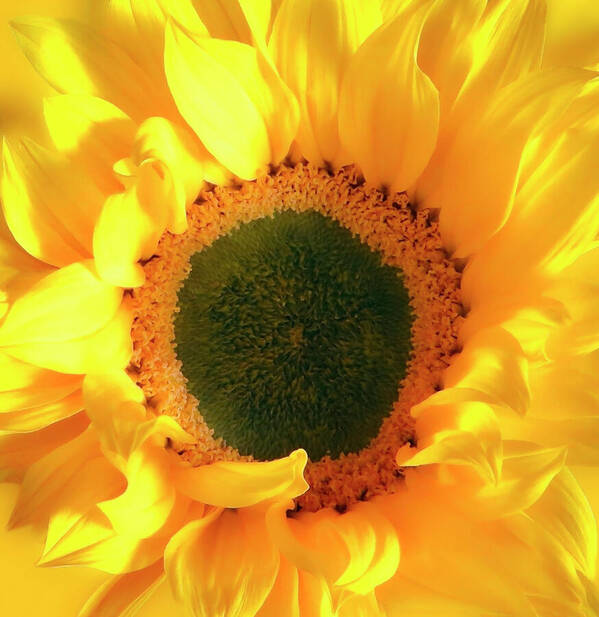 Hurmerinta Art tweet media