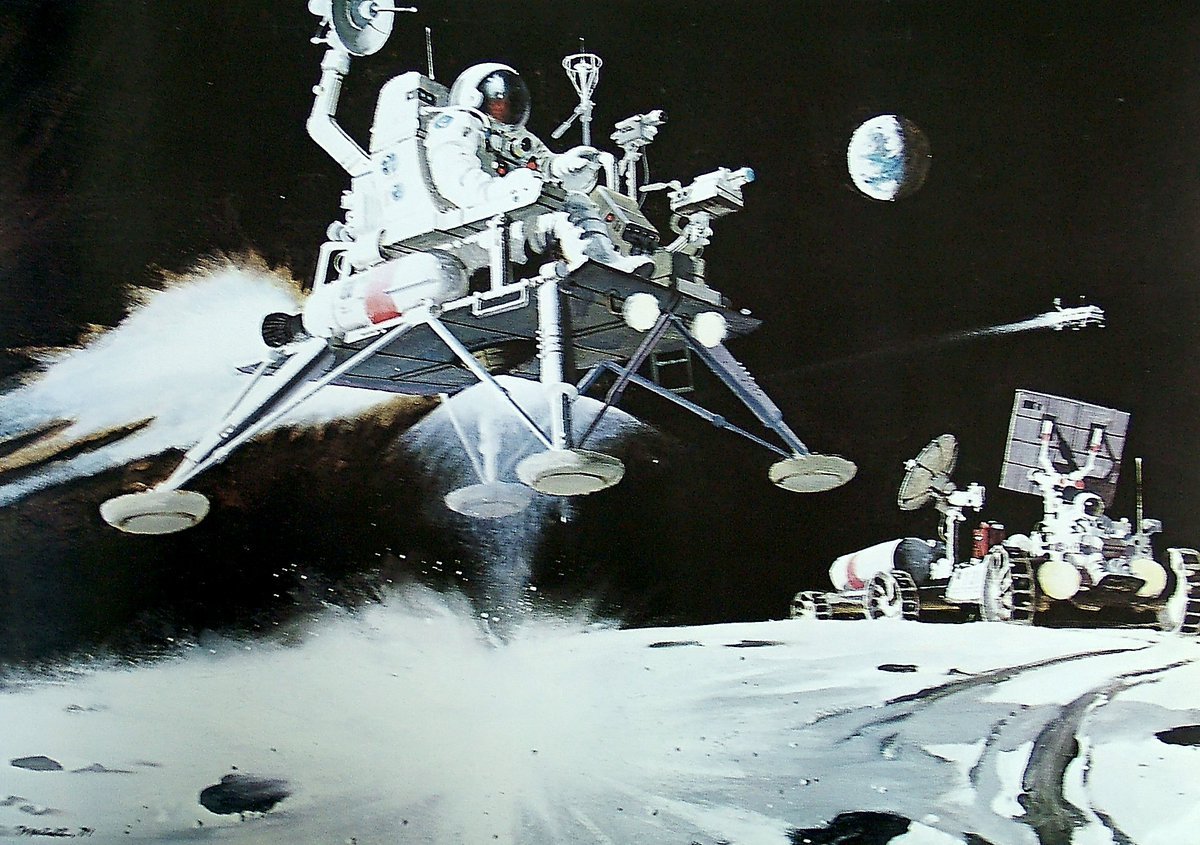 Space Koala tweet media