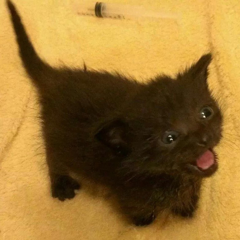 파랑✈️→⁴ᐟ¹⁵ᴺ tweet media