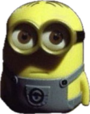 ★ allie MET 5sos ★ tweet media