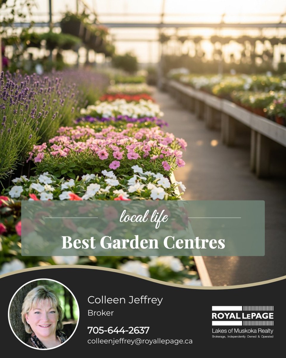 ColleenJeffrey's tweet image. Drop your go-to local garden centres &amp;amp; nurseries below—let’s share the best spots to find stunning flowers, lush greenery, and everything needed for a thriving spring garden!

#newhome #muskokarealestate #Icanhelp #Bracebridge #LakeMuskoka #LakeRosseau #LakeJoseph #homebuyer