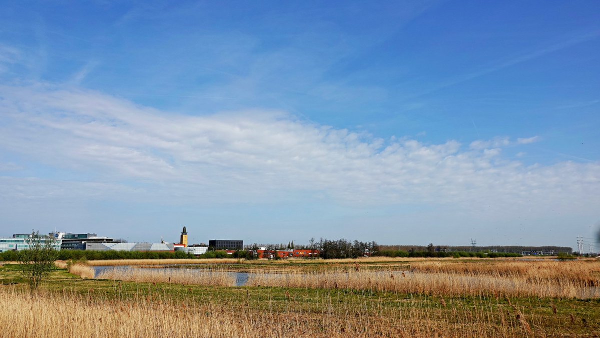 Ton Wesselius tweet media