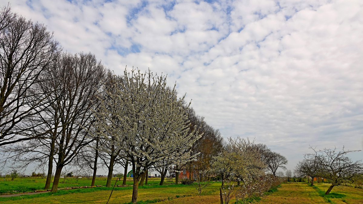 Ton Wesselius tweet media