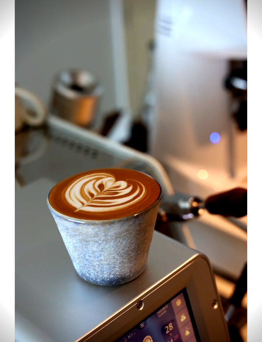 Mr. Pond tweet media