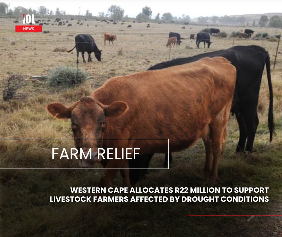 IOL's tweet image. The Western Cape has set aside R22 million to support livestock farmers hit by drought. The relief package aims to protect livelihoods and strengthen food security amid climate challenges.
#news #WesternCape #farms #finance #relief #food 
Read on tinyurl.com/2s39853r