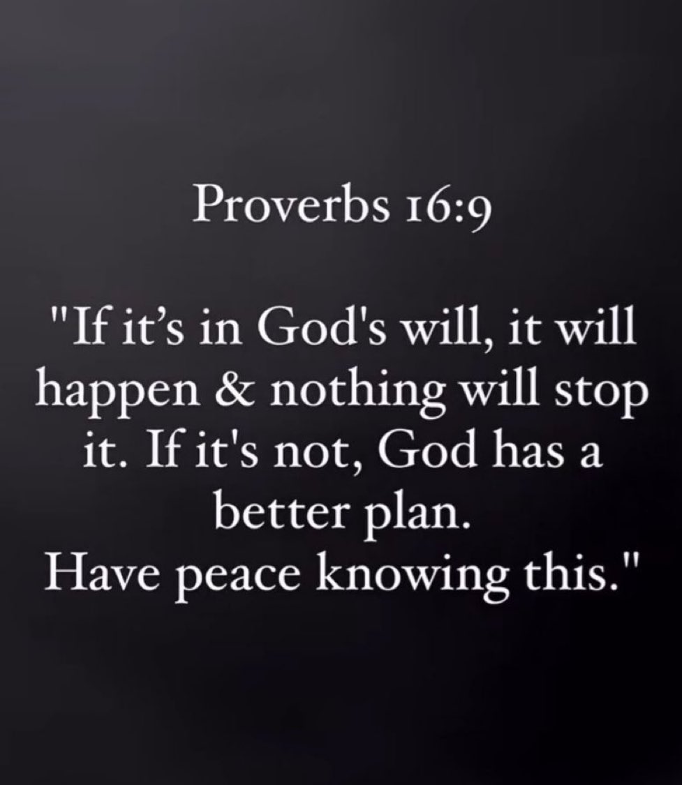 Bible 365 tweet media