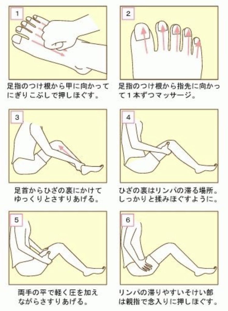 フォローすると痩せるくっま🐻 tweet media
