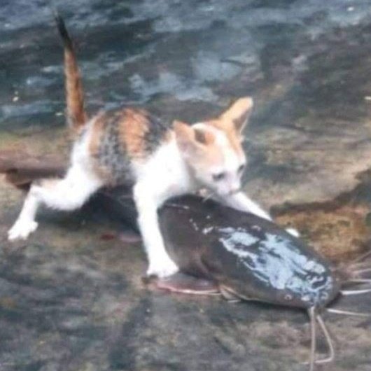 ciloOoเณ tweet media