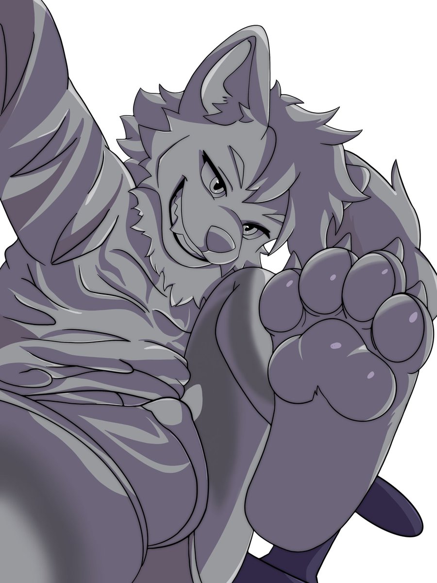 Wolfe (comms open) tweet media