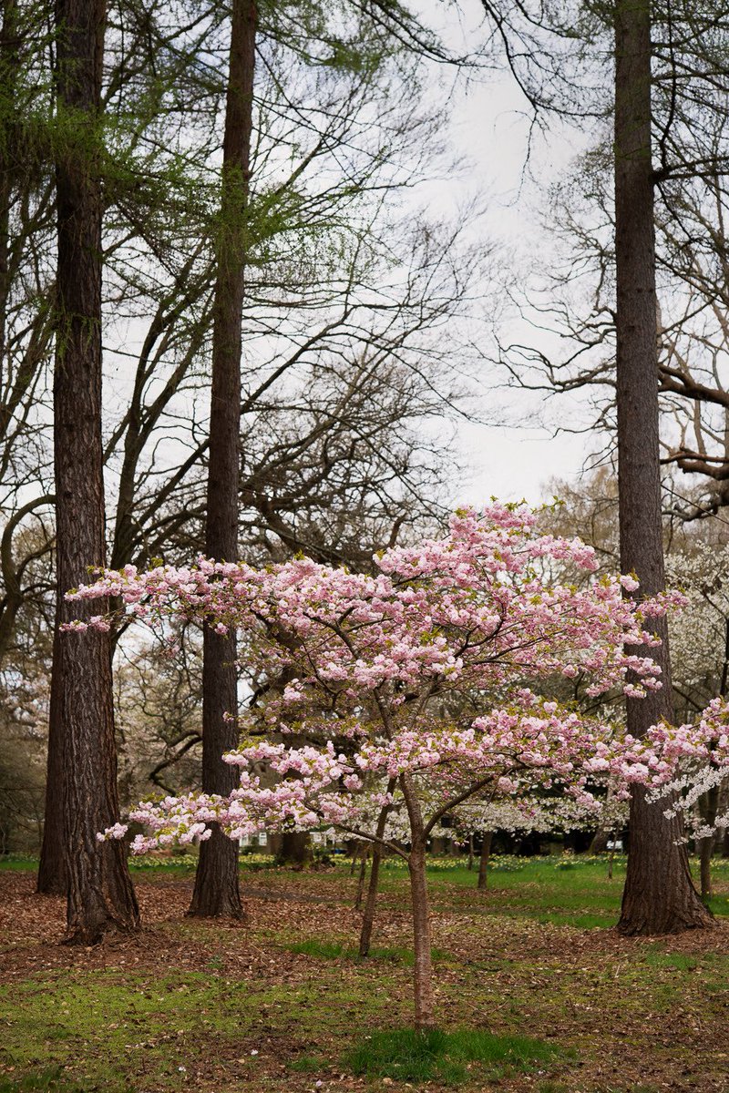 𝑀𝒶𝓇𝒾 𝒟𝒶𝓎𝓈𝒾 tweet media