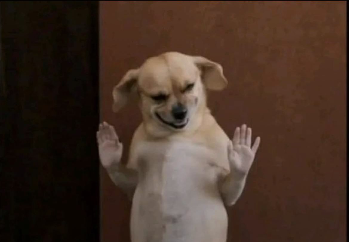 Victor🧠| Web3 Alpha🐺 tweet media