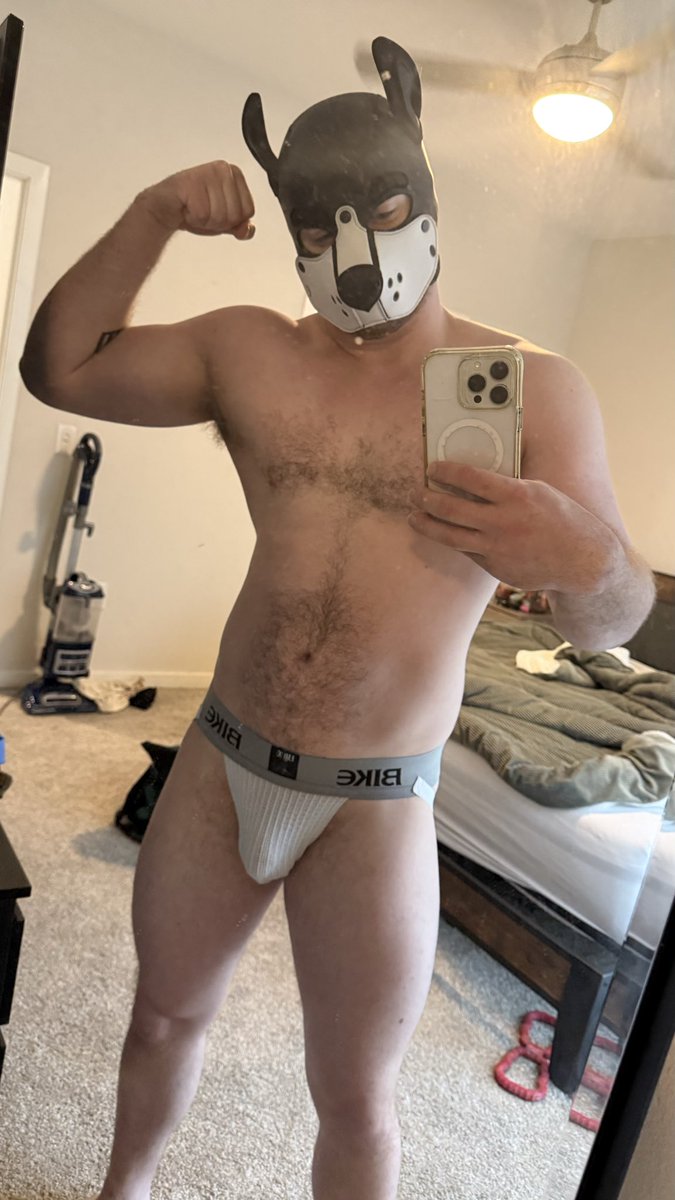 Blaidd and Trance ➡️ PURPLE PARTY tweet media