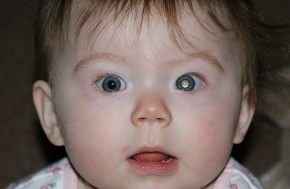 Mastering the Differential 🩺 tweet media