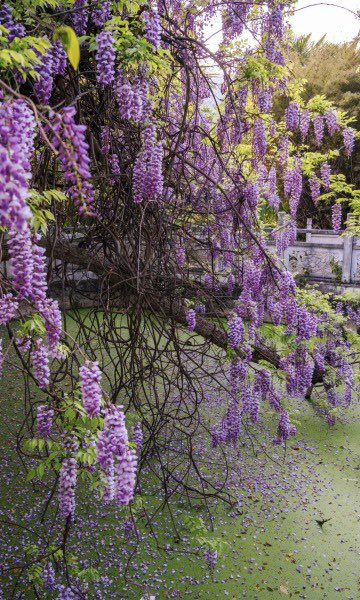 𝑀𝒶𝓇𝒾 𝒟𝒶𝓎𝓈𝒾 tweet media