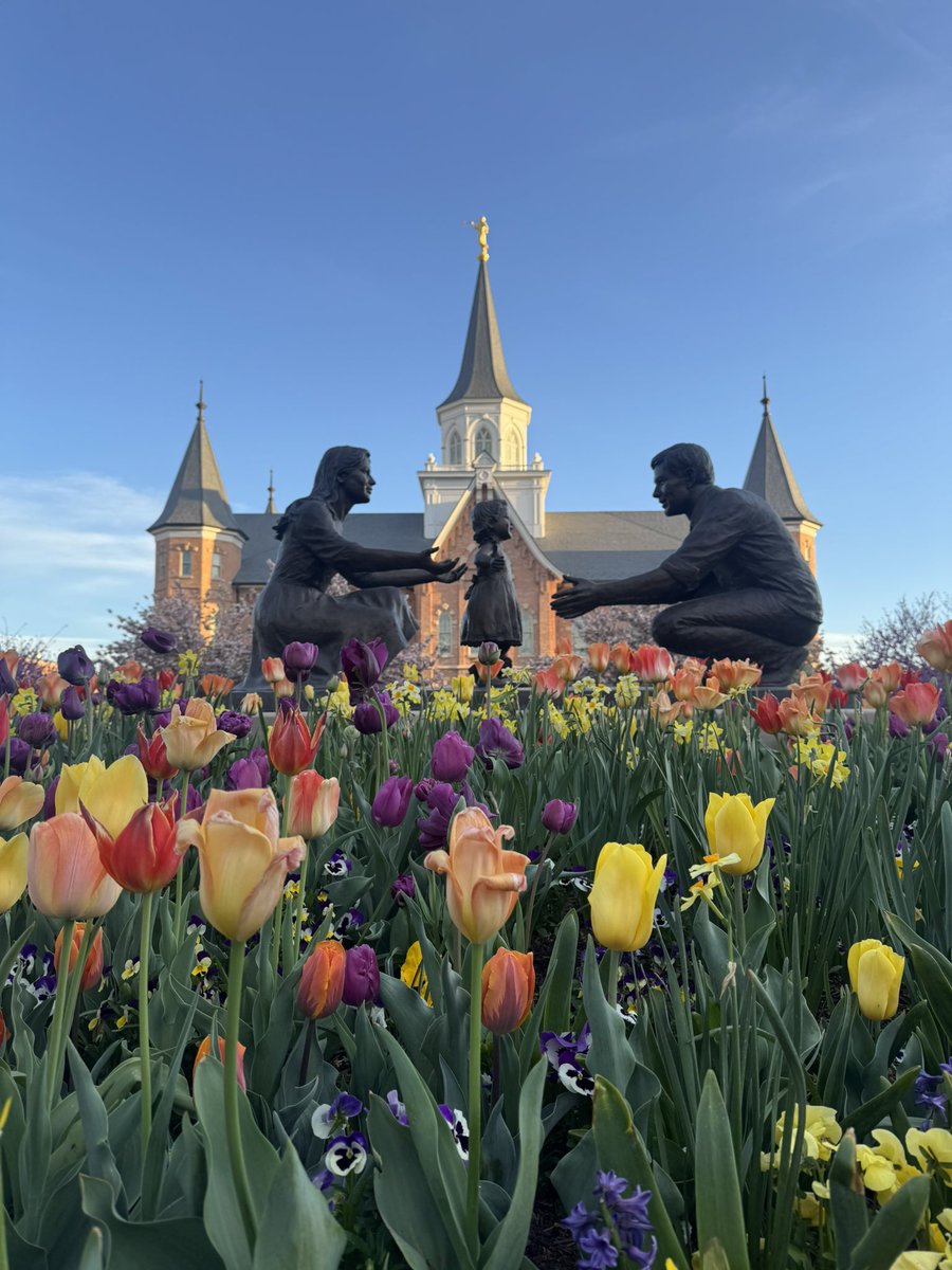 Samuel Dipp tweet media