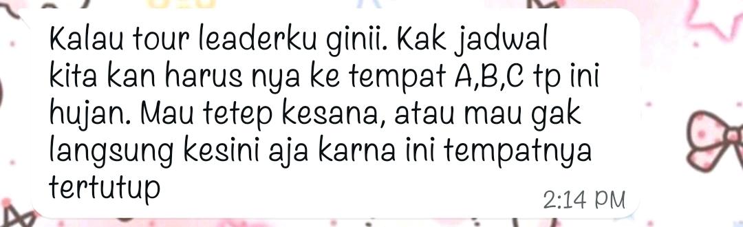 in-ping!🦕 tweet media