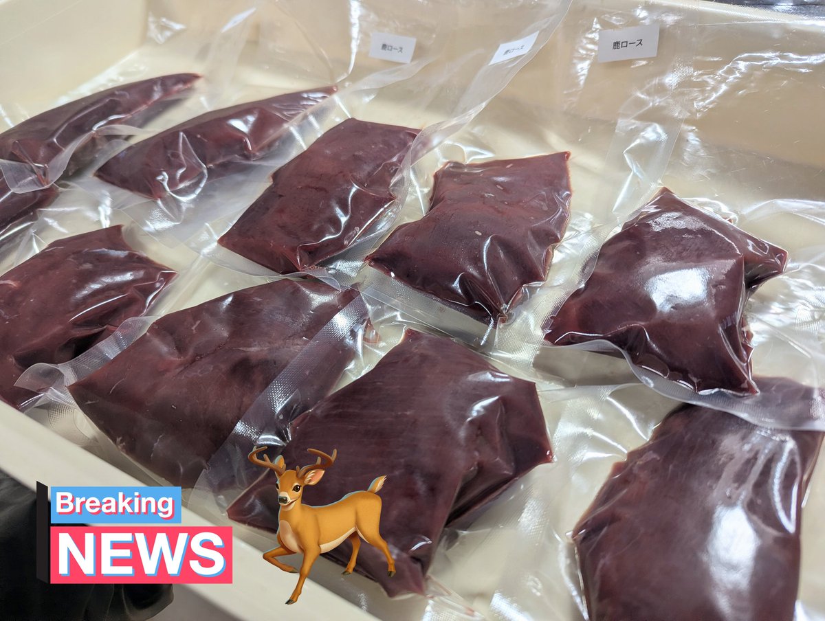 シカしか勝たん tweet media