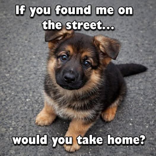 Elizabeth❣️ tweet media