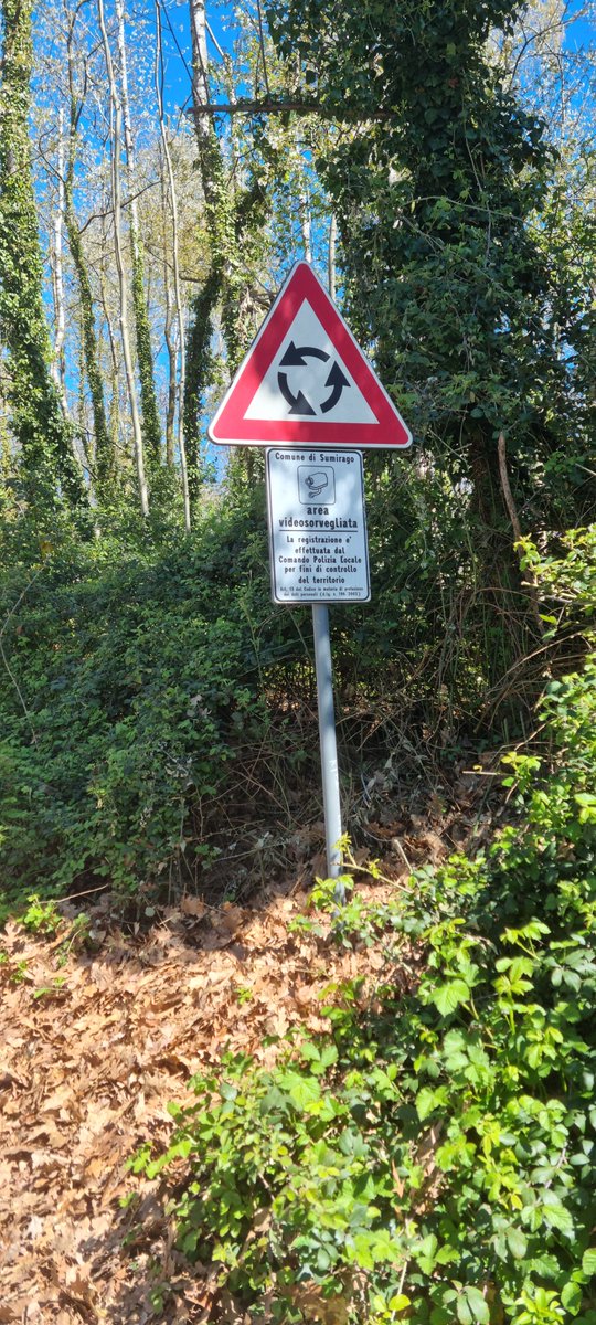 angallarate's tweet photo. In Via Carducci a Sumirago il cartello sommerso dalla vegetazione e' stato riportato alla luce. Grave segnale di stato di abbandono e di incuria del territorio. https://t.co/THFCaoA62w